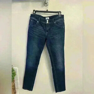 Hudson woman's 28 skinny straight